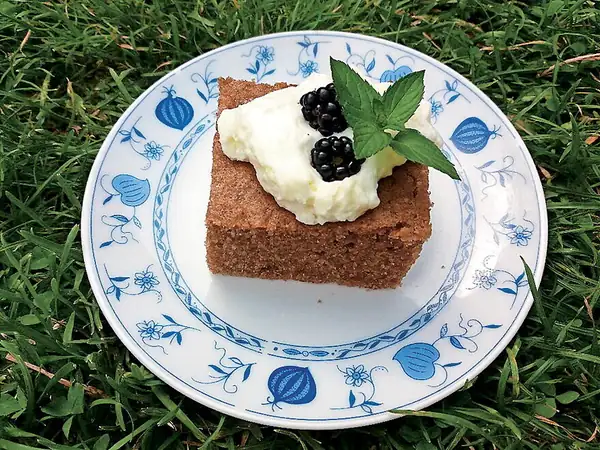 Zucchini bun with cocoa