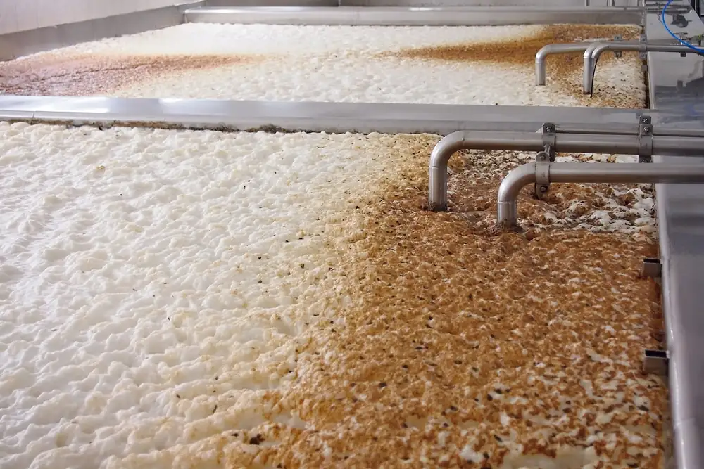 La levadura decide buena parte del sabor de la cerveza