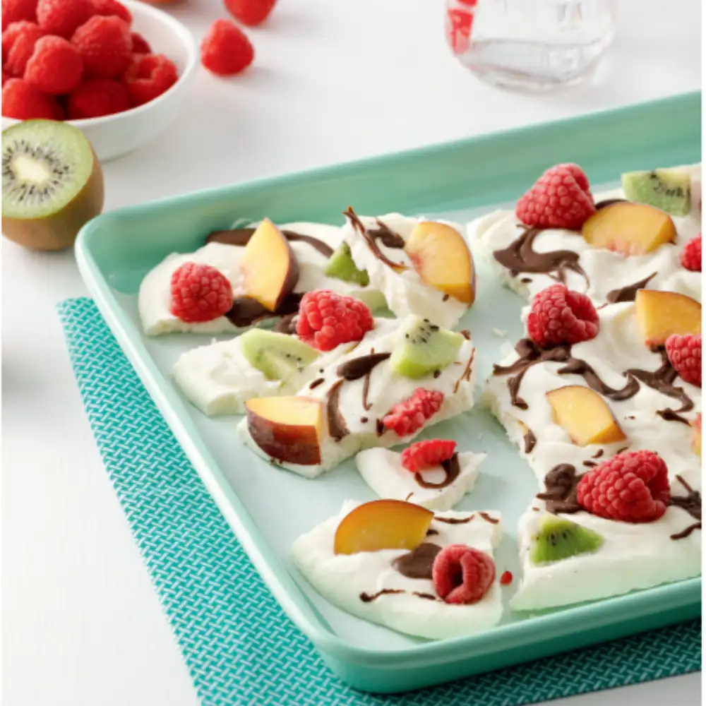 Chocolate frozen yogurt shards and fruit