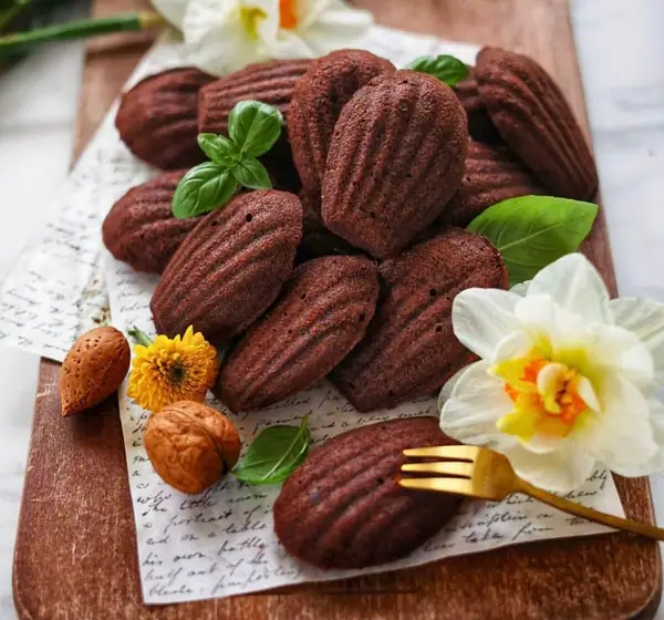 Chocolate Madeleines