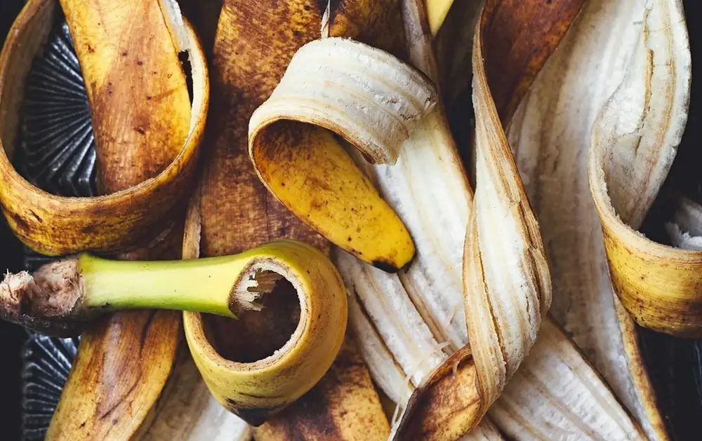 Fruit byproducts lead food waste upcycling growth