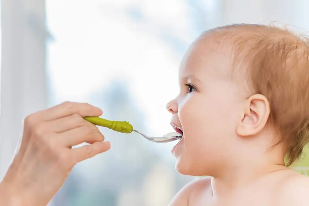 Daily menu for babies from 6 to 9 months