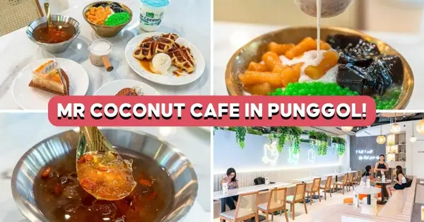 Three Little Coconut: Mr Coconut Cafe Opens In Punggol