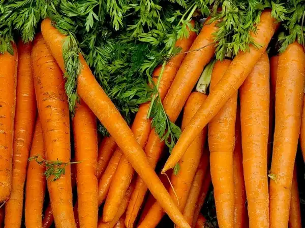 Tip to prevent carrots from wilting and becoming soggy during storage