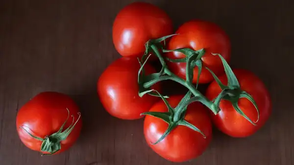 ¿Debes guardar los tomates a temperatura ambiente o en el frigorífico?