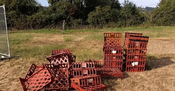 Revealed: the hidden cost of festivals to the bakery industry