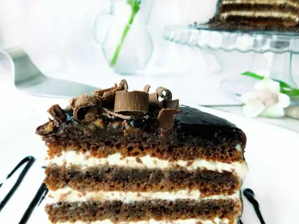 Chocolate sour cream cake