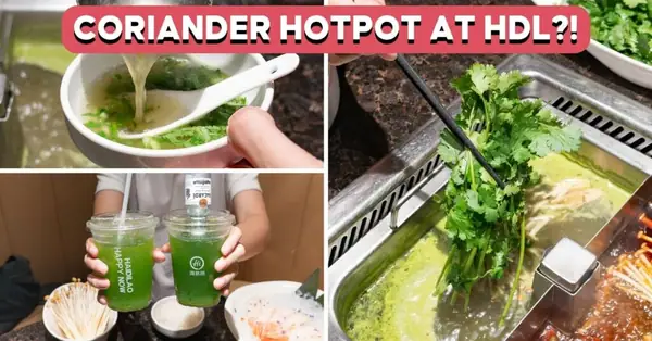 We Tried Haidilao's New Coriander Menu: Coriander-Flavoured Soup, Cocktail And More
