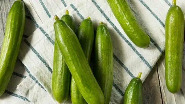 For Longer Lasting Cucumbers, The Persian Variety Is Your Go-To