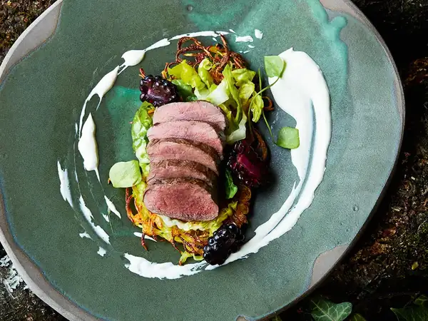 Saddle of venison with potato rösti, sour cream and salad