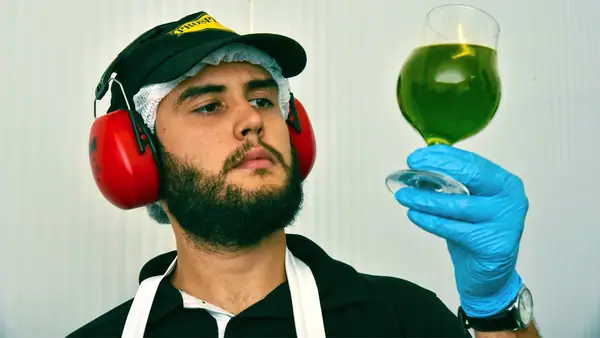 Cómo Rio Grande do Sul se convirtió en el centro de la industria del aceite de oliva de Brasil
