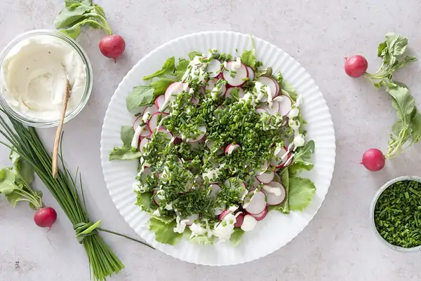 Salad with radishes and smoked cheese cream