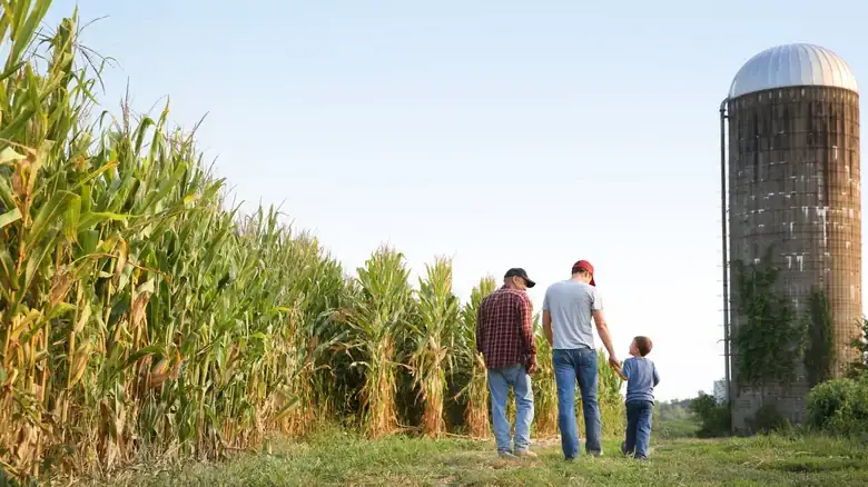 The US State That Produces More Corn Than The Cornhusker State