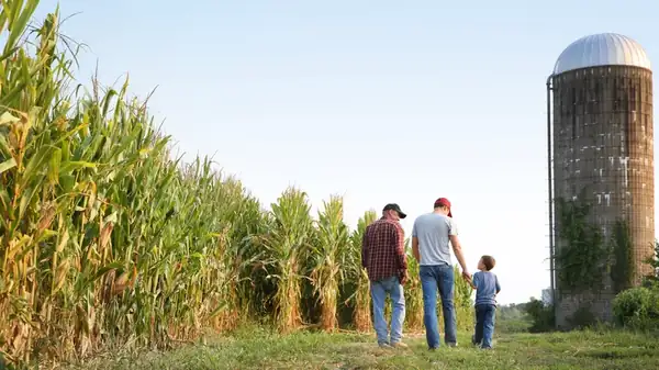 The US State That Produces More Corn Than The Cornhusker State