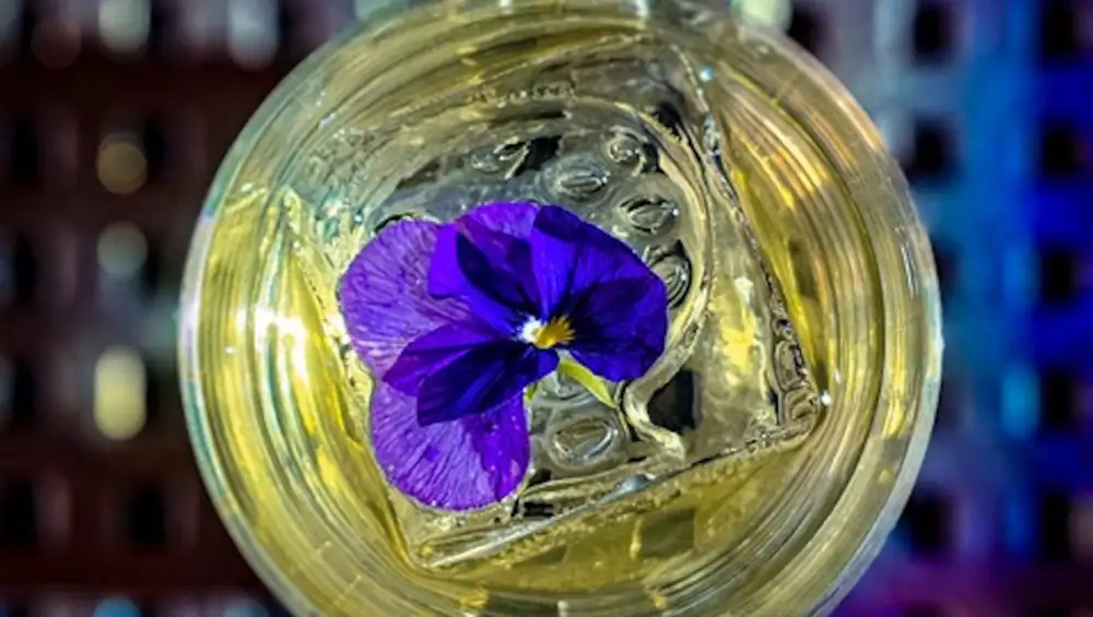 Cocktail stories: Mayan’s Punch, Barro Negro