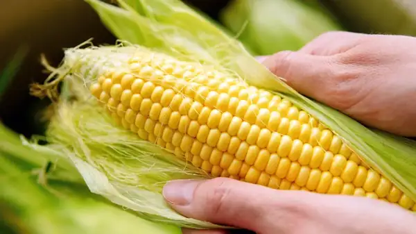 Why You Can (And Should) Eat Raw Corn