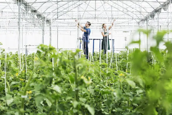 By the numbers: agriculture's resource-intensive reality (and possible solutions)