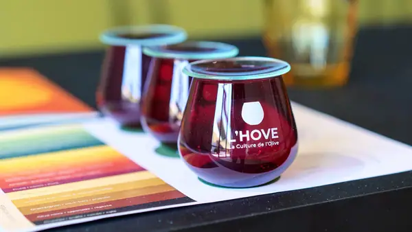 New Olive Oil Training and Tasting Center Opens in Provence
