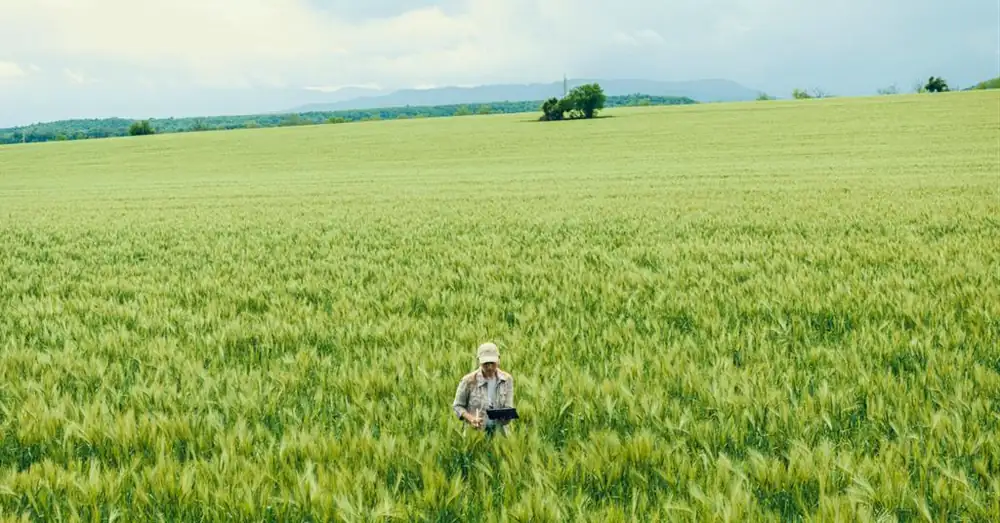 Study finds consumers care about better farming when linked to better food