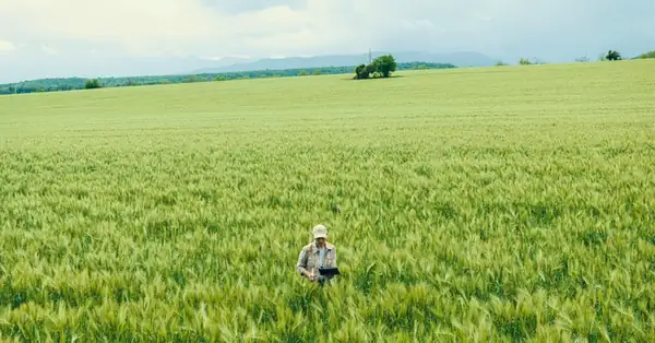 Study finds consumers care about better farming when linked to better food
