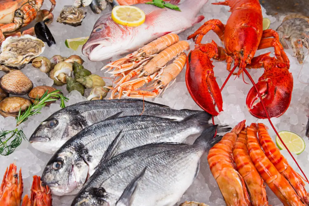 La demanda mundial de productos del mar está aumentando vertiginosamente, pero ¿con qué financiación cuentan las empresas emergentes de tecnología alimentaria acuática?