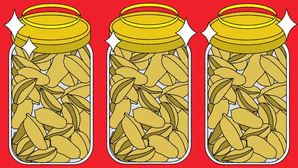 The Cult Appeal of the Church Nut