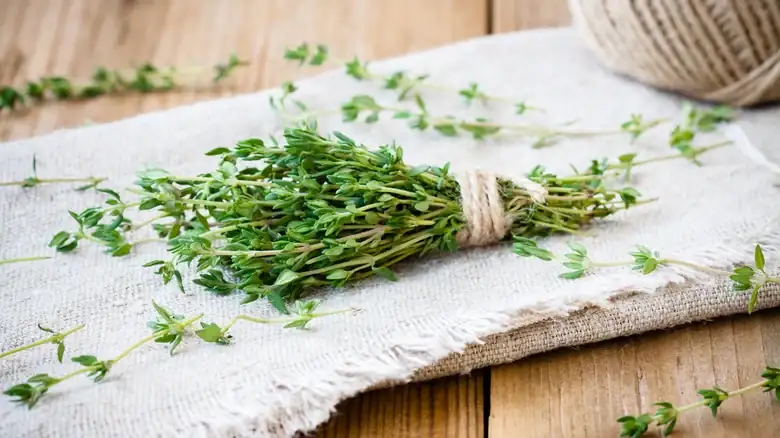 What to use instead of thyme when you run out in the kitchen