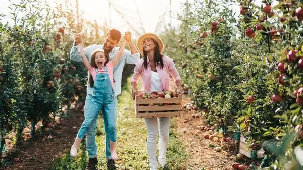 The Top 14 U-Pick Farms In The U.S.