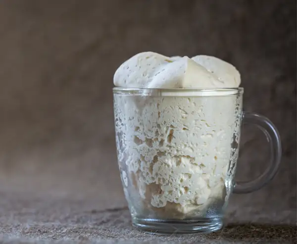 Un estudio muestra que la harina cambia el sabor de la masa madre