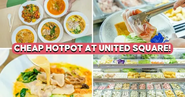 Soup Dayz Review: Affordable Solo Hotpot In Novena