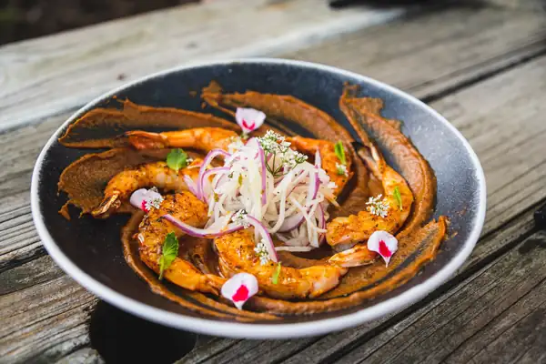 New Gluten-Free Mexican Restaurant Focusing on Yucatán Cuisine Opens in October