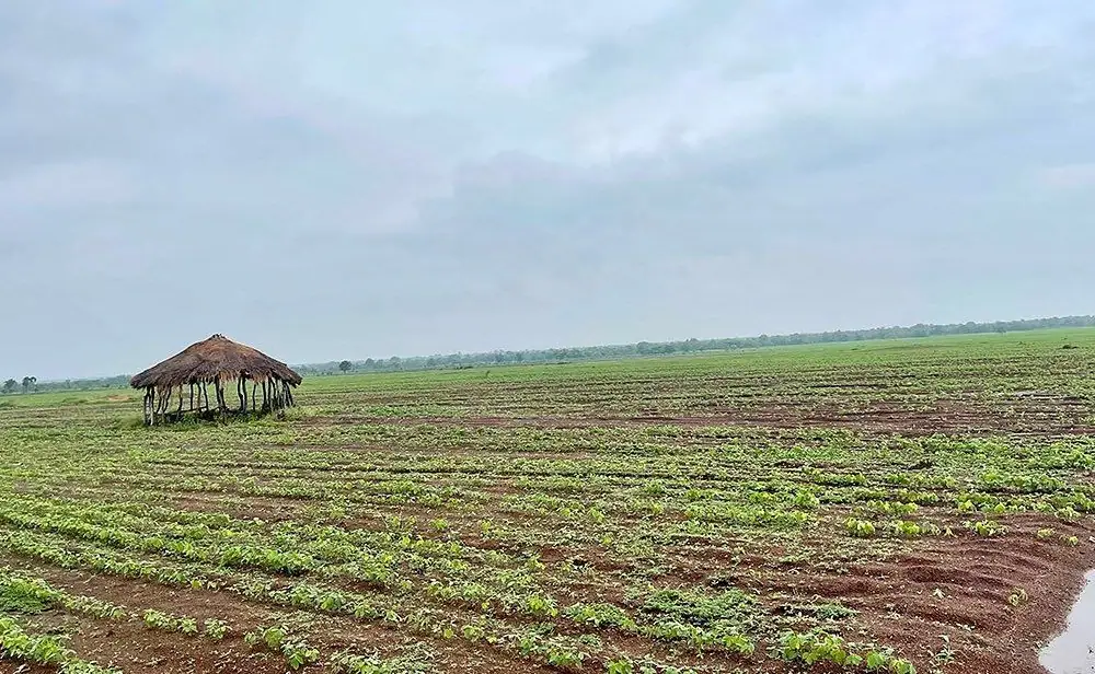 Complete Farmer looks to the crowd to give African smallholders a boost