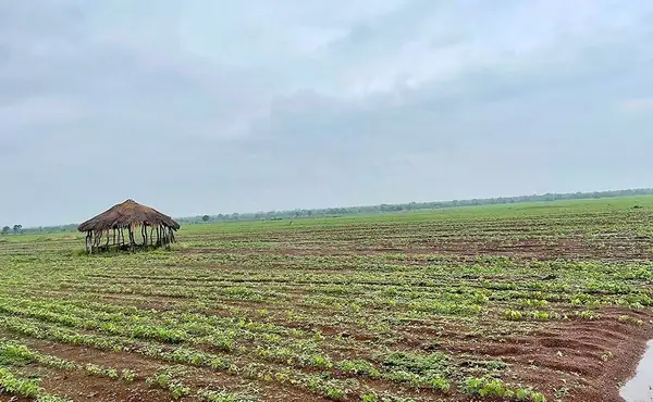 Complete Farmer looks to the crowd to give African smallholders a boost