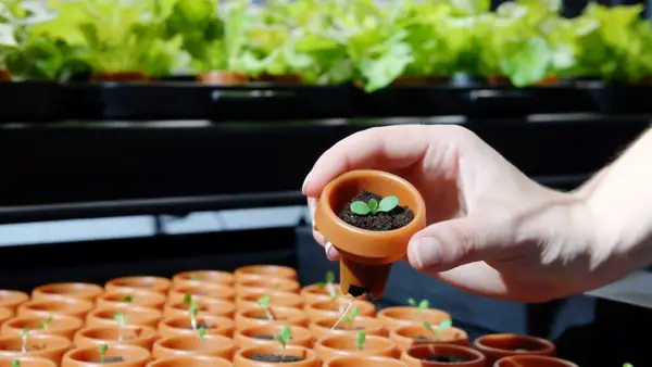 she1K angel syndicate bets on ‘democratised’ vertical farming with investment in Farmshelf