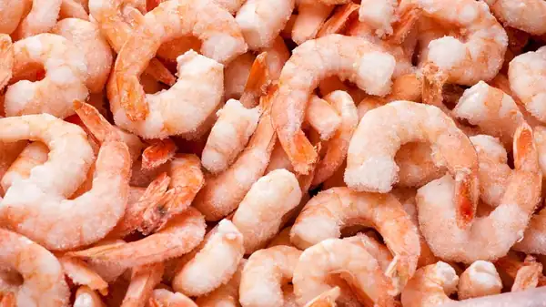 What to consider when buying high-quality frozen shrimp