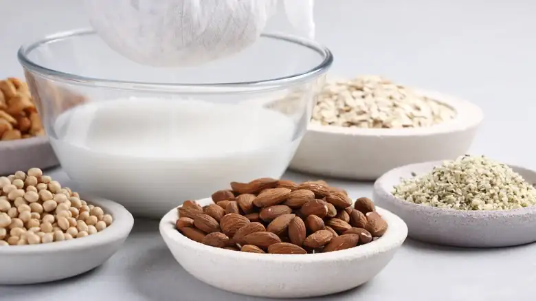 Dairy-Free Milk Alternatives Have More Sugar In Them Than You Think