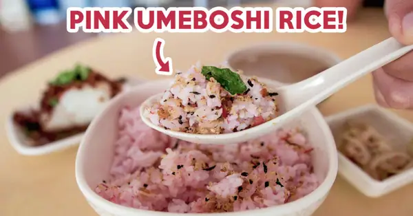 Plum And Rice Review: Pink Japanese Umeboshi Rice And Porridge Sets At A Bedok Hawker Stall