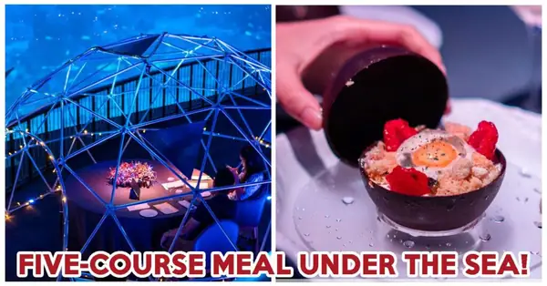 Aqua Gastronomy Lets You Dine “Underwater” In Your Own Bubble Pod At The S.E.A Aquarium