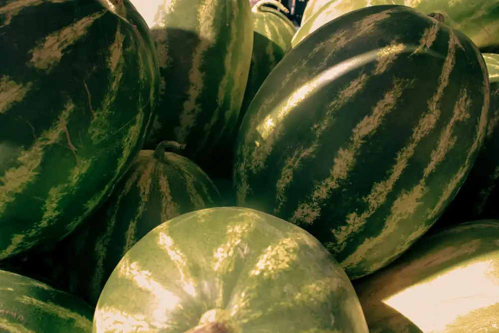 Do you really have to hit the watermelon?