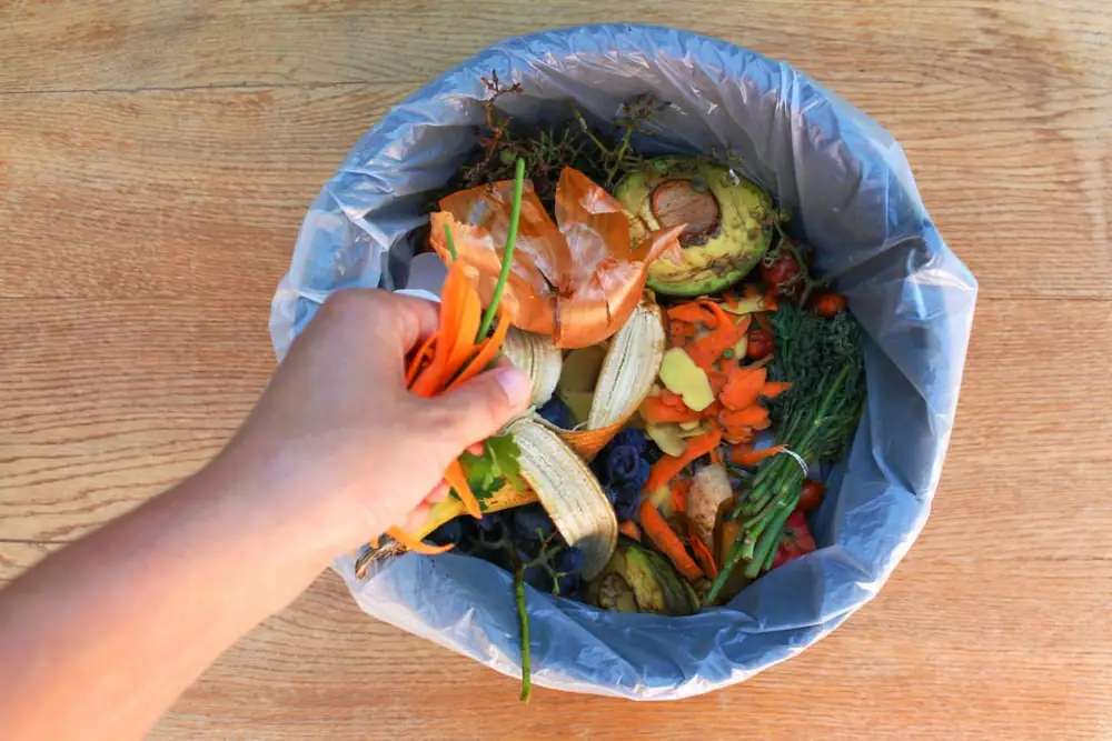 El desperdicio de alimentos es un problema global. Aquí te mostramos cómo dos startups de Singapur están trabajando para combatirlo