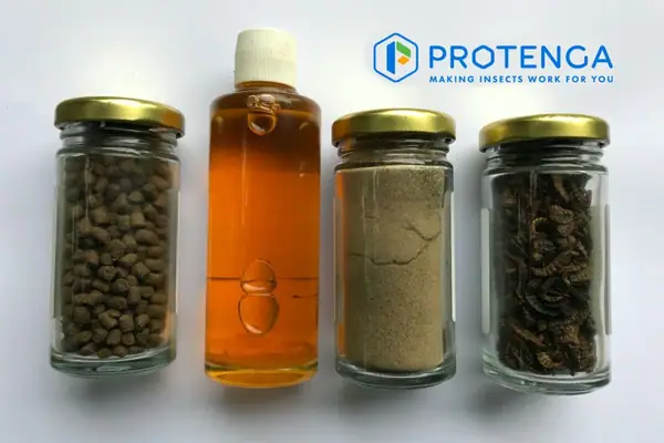 Protenga nets $1.6m from UK, Singapore backers for novel approach to Black Soldier Fly farming