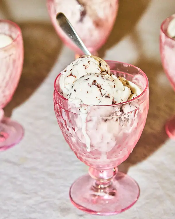 Chocolate Chip Coconut Sorbet Recipe