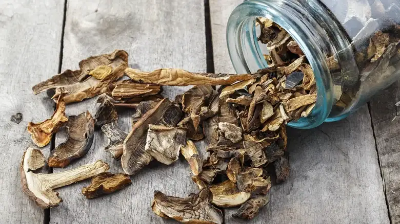 Is It Possible To Rehydrate Dried Mushrooms
