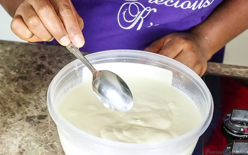 Homemade Yogurt (Video)