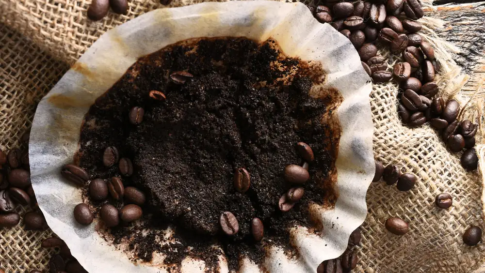 Do This When You Run Out Of Coffee Filters