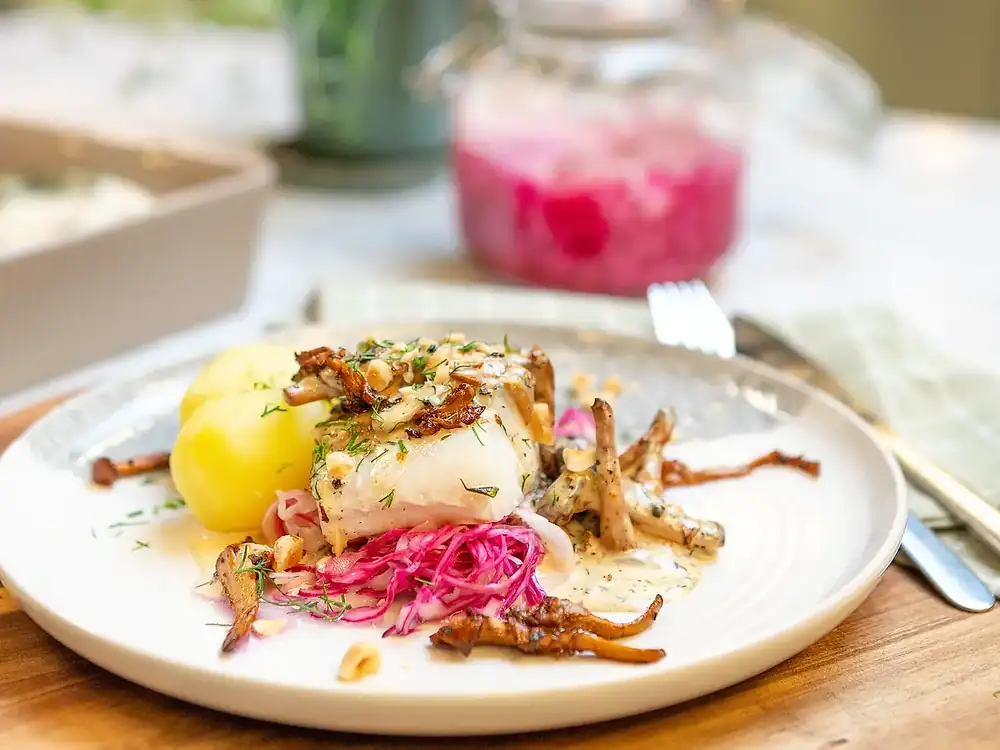 Cod loin with chanterelles and pickled red cabbage