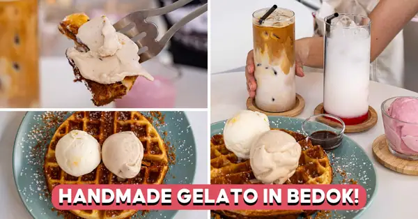 Scoopy Doo Review: New Gelato Cafe With Yakult Sherbet And Mochi Waffles In Bedok