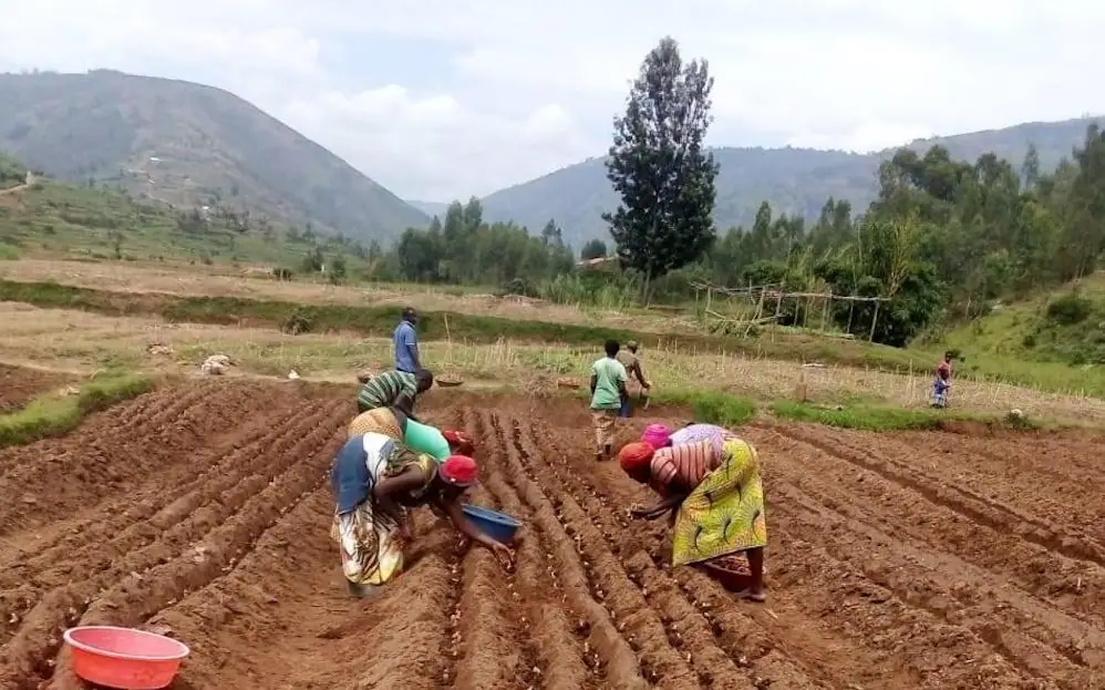 Get It is redesigning the food distribution chain in Rwanda