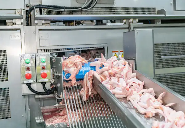 Tres empresas tienen un dominio casi total del mercado de suministro de aves de corral en el Reino Unido