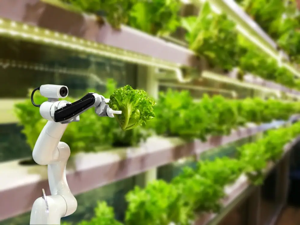 The second generation of vertical farming is approaching. Here's why it's important